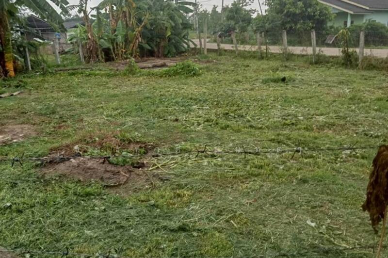 ขาย - บ้านหนองฮ่าง (แยกถนนพหลโยธิน ร.ร อนุบาลคำนวน), เชียงราย