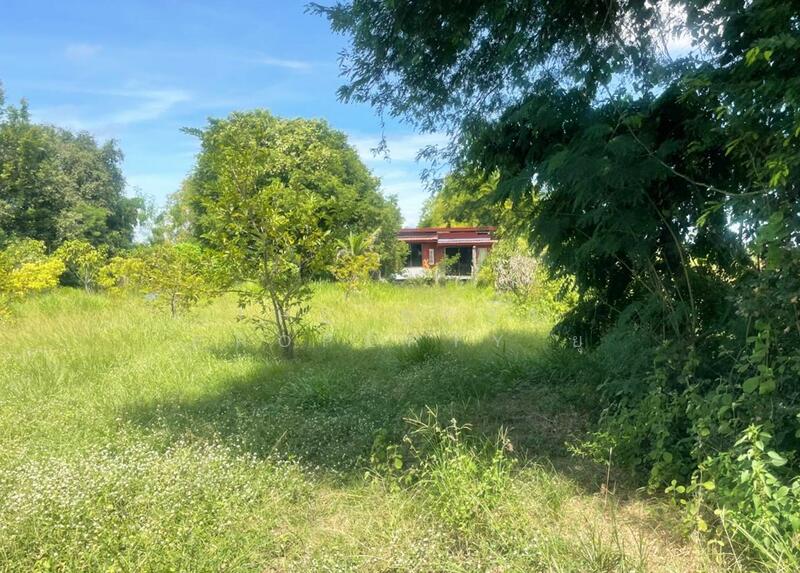 ขาย - ที่ดินพร้อมสิ่งปลูกสร้างประโคนชัย บุรีรัมย์, บุรีรัมย์