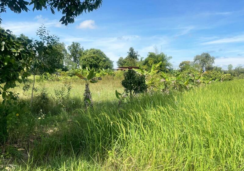 ขาย - ที่ดินพร้อมสิ่งปลูกสร้างประโคนชัย บุรีรัมย์, บุรีรัมย์