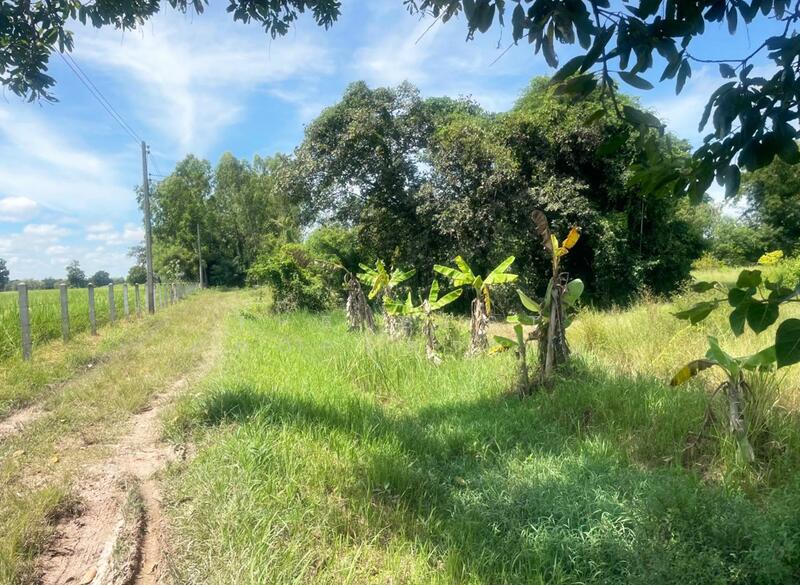 ขาย - ที่ดินพร้อมสิ่งปลูกสร้างประโคนชัย บุรีรัมย์, บุรีรัมย์