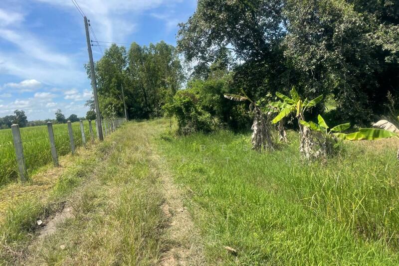 ขาย - ที่ดินพร้อมสิ่งปลูกสร้างประโคนชัย บุรีรัมย์, บุรีรัมย์