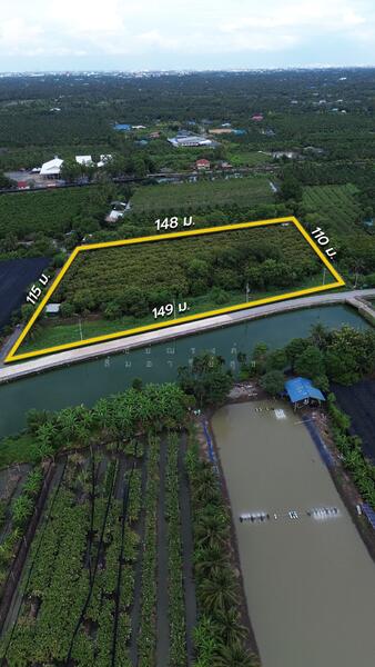 Land in Khlong Chinda, Sam Phran, Nakhon Pathom, Khlong Chinda, Sam Phran, Nakhon Pathom, , 14,232 sqm, Land For Sale, by ชัยณรงค์ ลิ้มอารีย์สุข, 500014465 - DDproperty.com