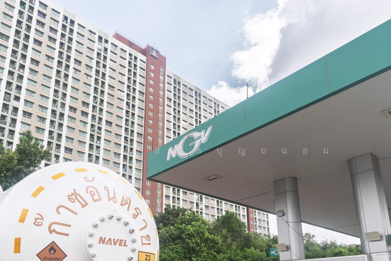 For Rent - ที่ดิน ติดถนนใหญ่ บรมราชชนนี ตลิ่งชัน, กรุงเทพมหานคร, Bangkok