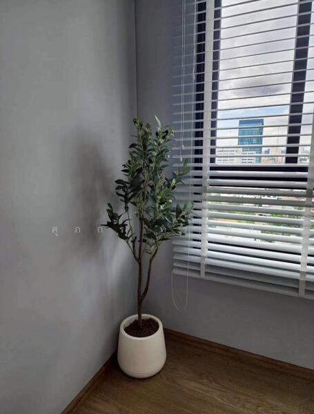 For Rent - Nue Evo Ari, Bangkok