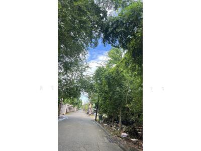 ขาย - ขายที่ดินคู้บอน 13 ขนาด 183 ตารางวา @ 29,500 บาท, กรุงเทพ