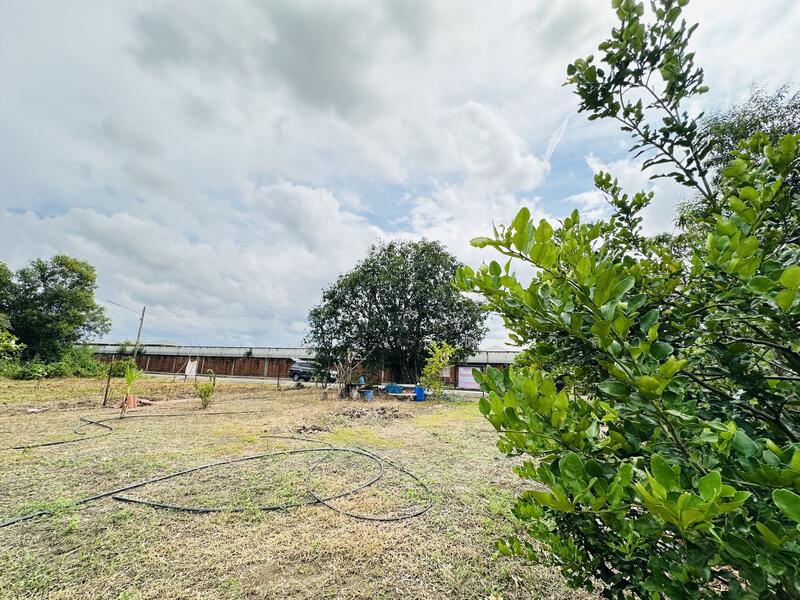 For Sale - หมู่บ้านปาริชาติ คลอง4, Pathum Thani