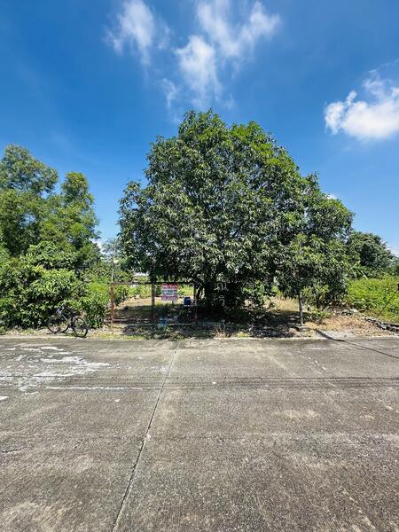 For Sale - หมู่บ้านปาริชาติ คลอง4, Pathum Thani