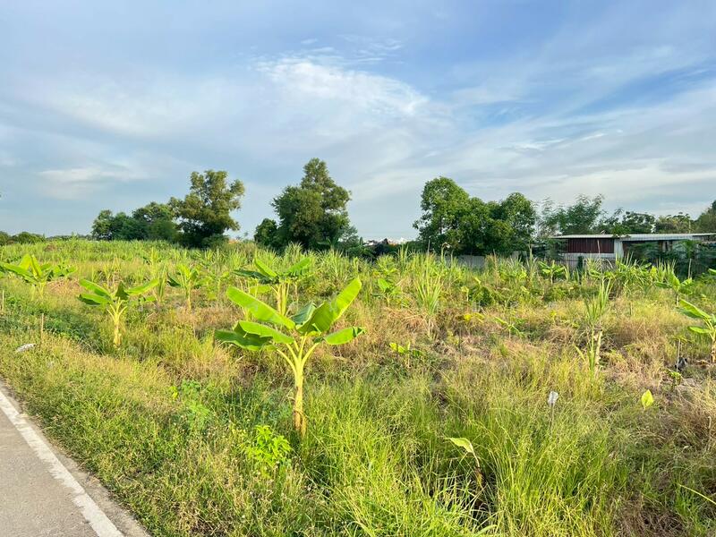 For Sale - คลองสาม คลองหลวง, Pathum Thani