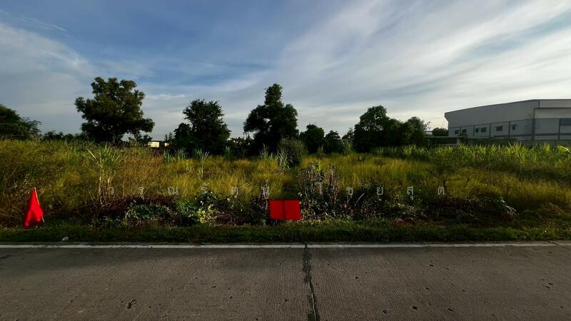 For Sale - คลองสาม คลองหลวง, Pathum Thani