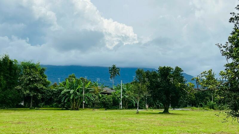 For Sale - นครนายก, Nakhon Nayok