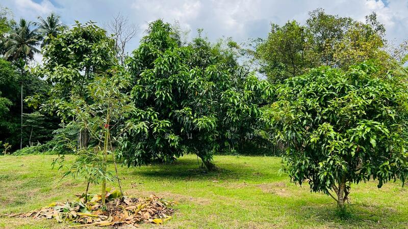 For Sale - นครนายก, Nakhon Nayok