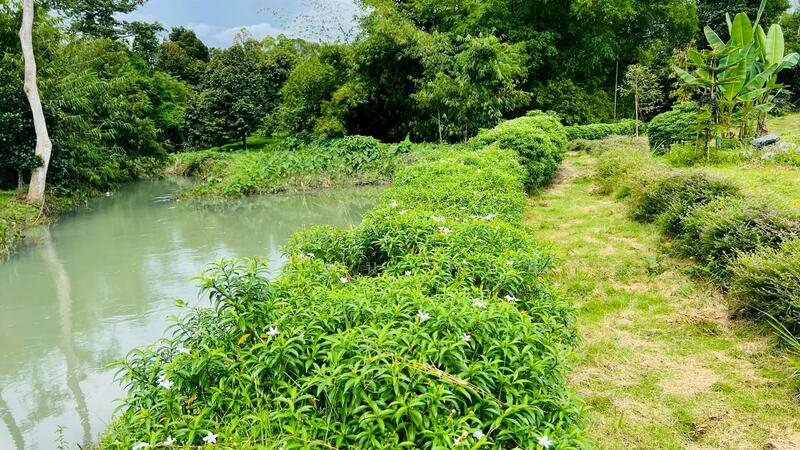 For Sale - นครนายก, Nakhon Nayok