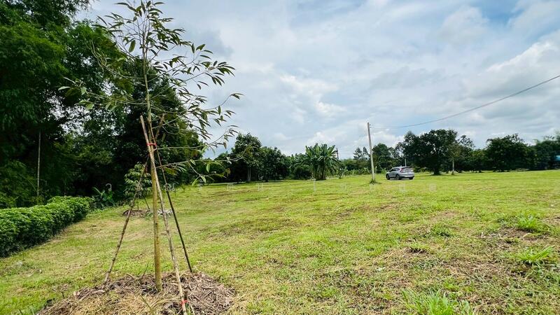 For Sale - นครนายก, Nakhon Nayok