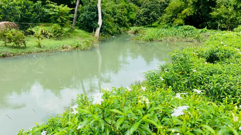 For Sale - นครนายก, Nakhon Nayok