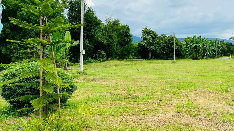 For Sale - นครนายก, Nakhon Nayok