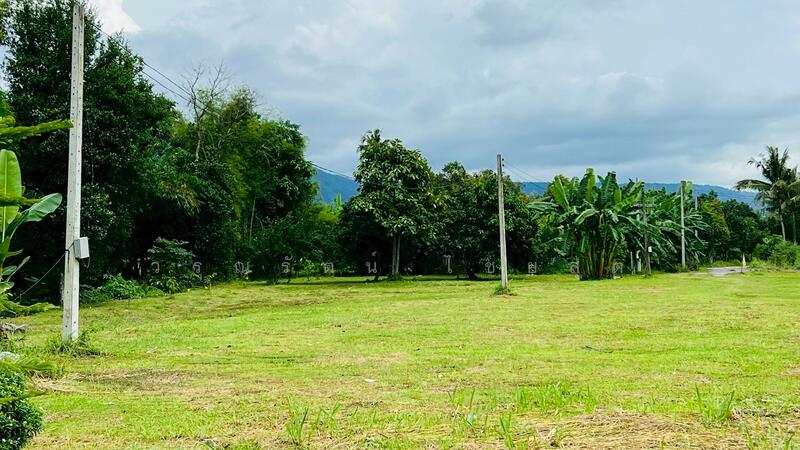 For Sale - นครนายก, Nakhon Nayok