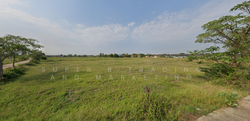 For Sale - ที่ดิน แปลงยาว ฉะเชิงเทรา, Chachoengsao