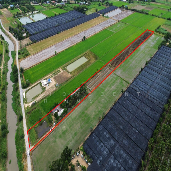 For Sale - ที่ดิน6-0-45ไร่ ต.รางพิกุล อ.กำแพงแสน, Nakhon Pathom