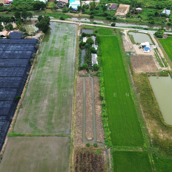 For Sale - ที่ดิน6-0-45ไร่ ต.รางพิกุล อ.กำแพงแสน, Nakhon Pathom