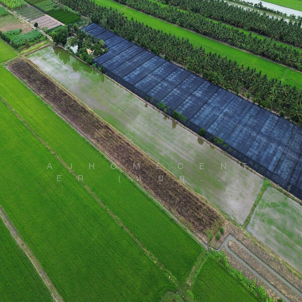 For Sale - ที่ดิน6-0-45ไร่ ต.รางพิกุล อ.กำแพงแสน, Nakhon Pathom
