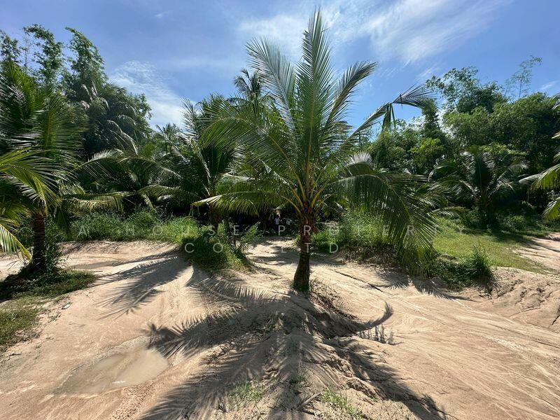 ขายที่ดินบางพระ ศรีราชา โซนบ้านห้วยกุ่ม, Chon Buri (Pattaya), Bang Phra, Si Racha, Chon Buri (Pattaya), , 8,760 sqm, Land For Sale, by A House Property Co.,Ltd., 500016108 - DDproperty.com