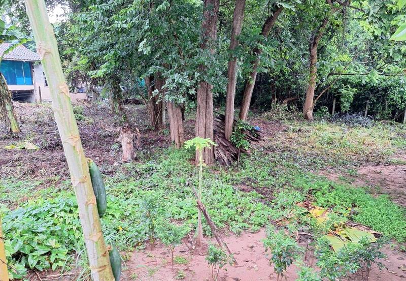 ขาย - ที่ดินบ้านจั่น อุดรธานี, อุดรธานี