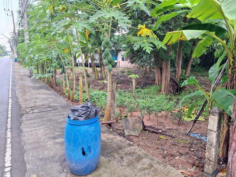 ขาย - ที่ดินบ้านจั่น อุดรธานี, อุดรธานี