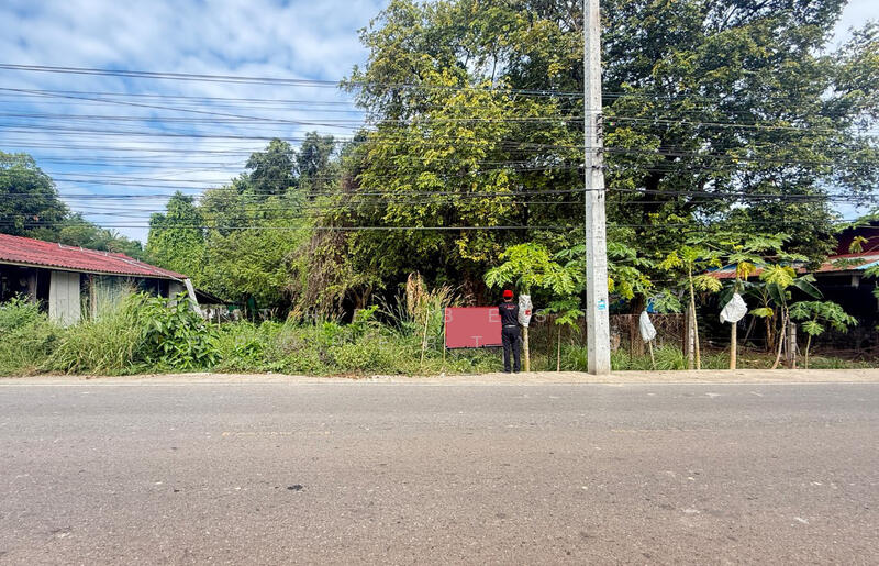ขาย - ที่ดินบ้านจั่น อุดรธานี, อุดรธานี