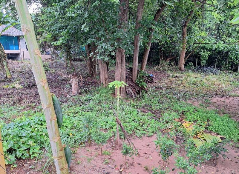 For Sale - ที่ดินบ้านจั่น อุดรธานี, Udon Thani