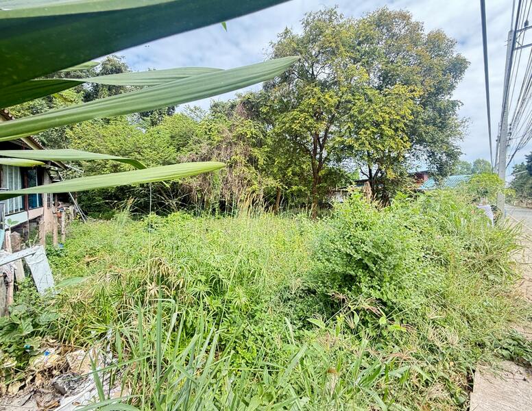 ขาย - ที่ดินบ้านจั่น อุดรธานี, อุดรธานี