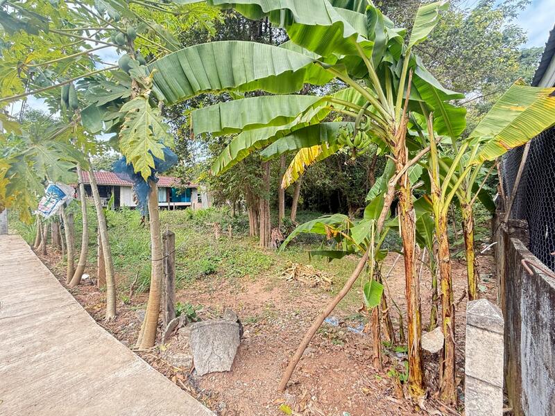 For Sale - ที่ดินบ้านจั่น อุดรธานี, Udon Thani