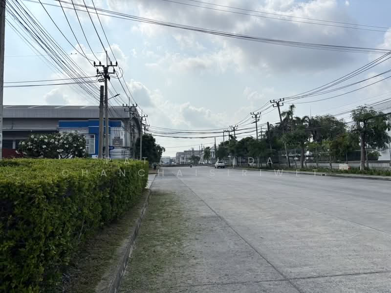 ให้เช่าโรงงาน คลังสินค้า 500 - 2500 ตร.ม. | FREE ZONE อำเภอบางพลี จังหวัดสมุทรปราการ, สมุทรปราการ, บางปลา, บางพลี, สมุทรปราการ, 585 ตร.ม., โกดัง-โรงงาน ให้เช่า, โดย Patchalida Chanchaisiriwet, 500016439 - DDproperty.com