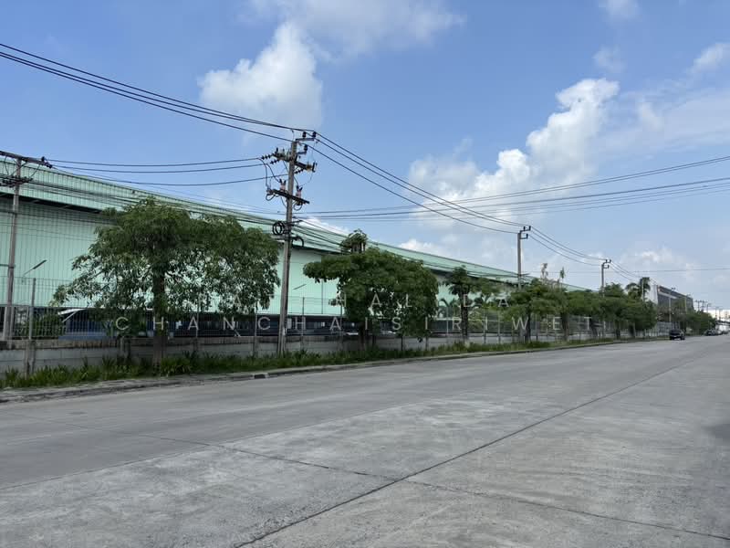 FACTORY / WAREHOUSE for RENT 500 - 2500 sq.m. | FREE ZONE - BANG PHLI SAMUTRPRAKARN, Samut Prakan, Bang Pla, Bang Plee, Samut Prakan, , 585 sqm, Warehouse/Factory For Rent, by Patchalida Chanchaisiriwet, 500016439 - DDproperty.com