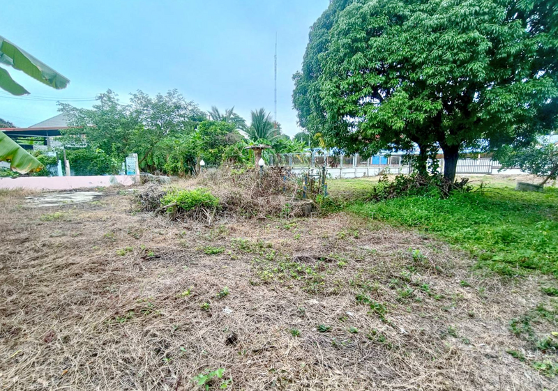 ขาย - ที่ดินบางคนที สมุทรสงคราม, สมุทรสงคราม