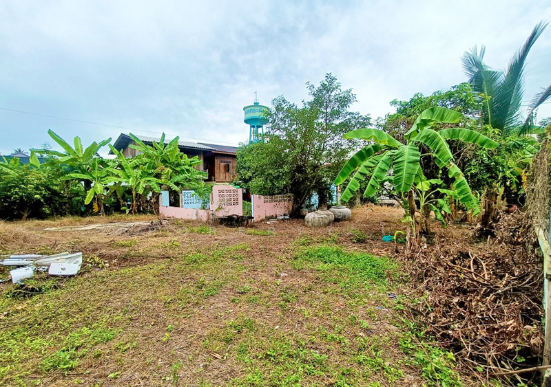 ขาย - ที่ดินบางคนที สมุทรสงคราม, สมุทรสงคราม