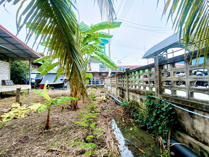 ขาย - ที่ดินบางคนที สมุทรสงคราม, สมุทรสงคราม