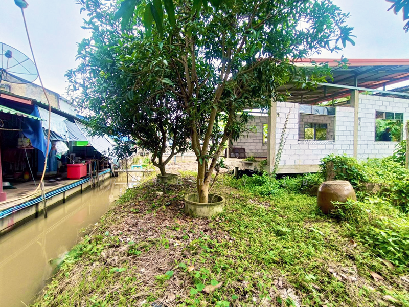 ขาย - ที่ดินบางคนที สมุทรสงคราม, สมุทรสงคราม