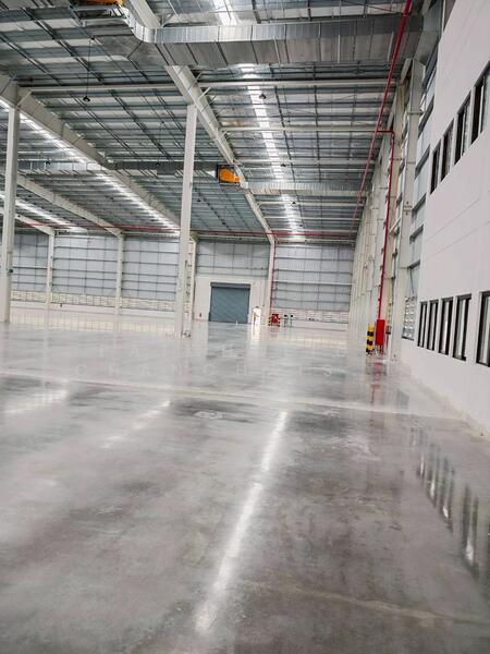 FACTORY / WAREHOUSE for RENT | AMATA INDUSTRIAL ESTATE CHONBURI, Chon Buri (Pattaya), Ban Khao, Phan Thong, Chon Buri (Pattaya), , 5,400 sqm, Warehouse/Factory For Rent, by Patchalida Chanchaisiriwet, 500017049 - DDproperty.com