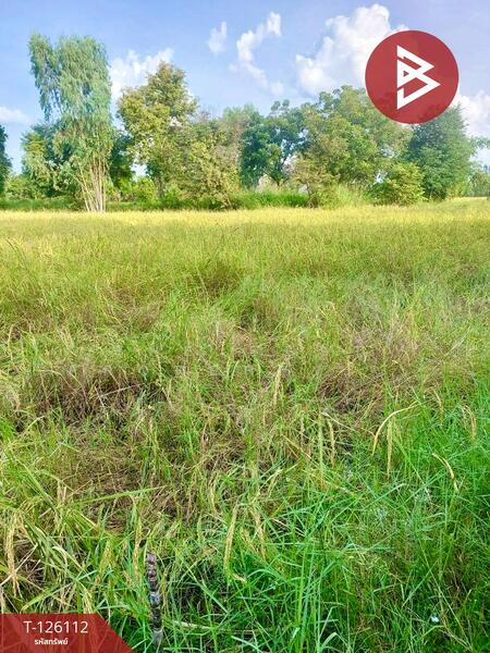 For Sale - ที่ดินพิมาย นครราชสีมา, Nakhon Ratchasima