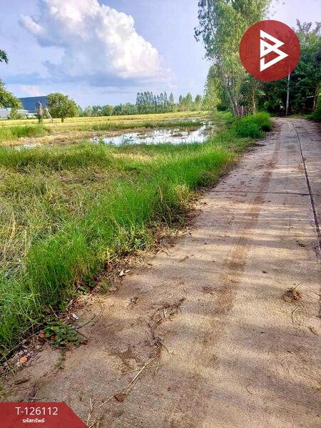 For Sale - ที่ดินพิมาย นครราชสีมา, Nakhon Ratchasima