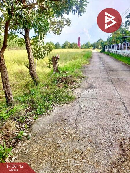 For Sale - ที่ดินพิมาย นครราชสีมา, Nakhon Ratchasima