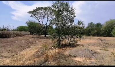 ขาย - สนามกอล์ฟบางปะกงริเวอร์ไซด์, ฉะเชิงเทรา