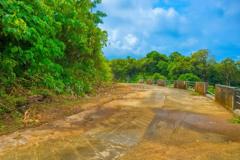 For Sale - 2 Rai seaview land for sale in Kamala, Phuket