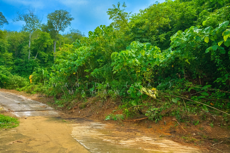 For Sale - 2 Rai seaview land for sale in Kamala, Phuket