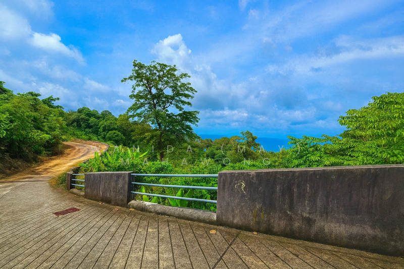 For Sale - 2 Rai seaview land for sale in Kamala, Phuket