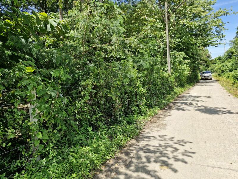 ขาย - ที่ดิน อ่างทอง, เมืองราชบุรี, ราชบุรี