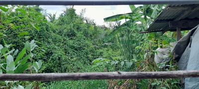 ขาย - ขายทิดินเปล่า ใกล้วัดอนหวาย, นครปฐม