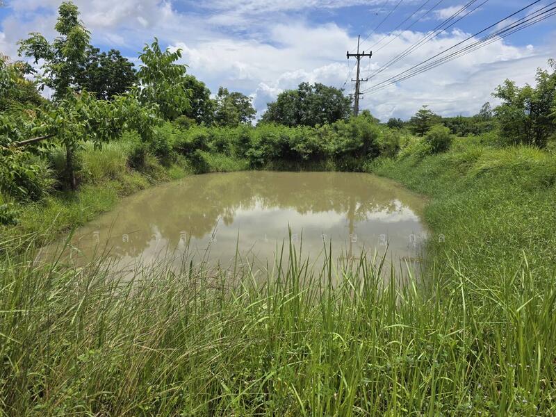 ขาย - ที่ดิน ถนน 2065, บ้านโสก, คอนสวรรค์, ชัยภูมิ