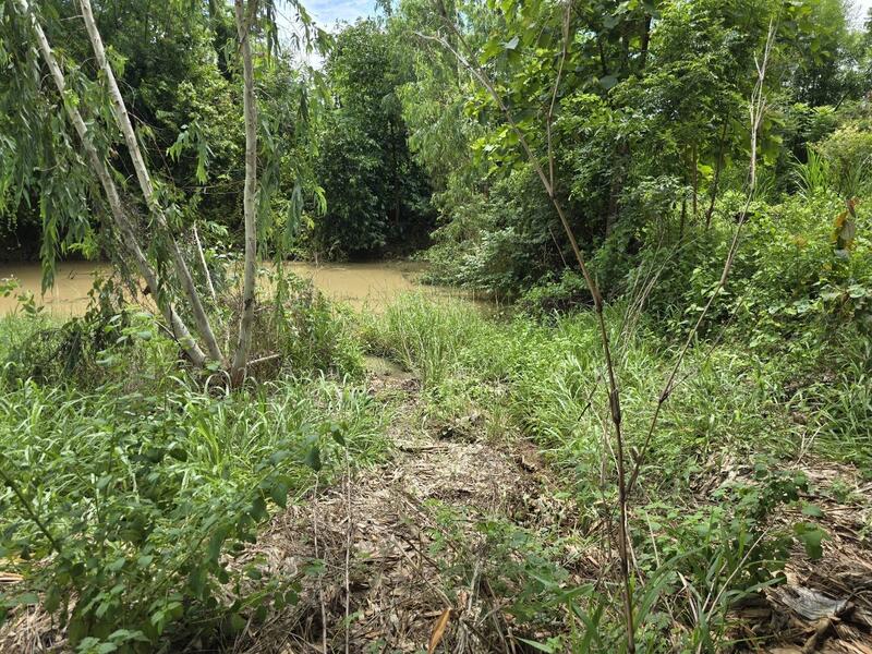 ขาย - ที่ดิน ถนน 2065, บ้านโสก, คอนสวรรค์, ชัยภูมิ