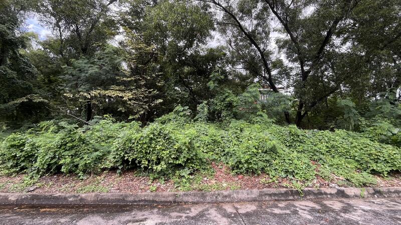 For Sale - ขายที่ ม.สิวลี 1 รังสิต80ตรว@20,000.-ศูนย์แปดเก้า1229530, Pathum Thani